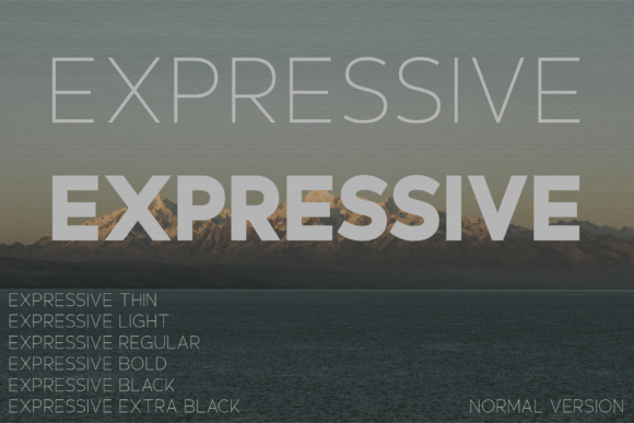 Expressive Font Review for Modern Campaigns
