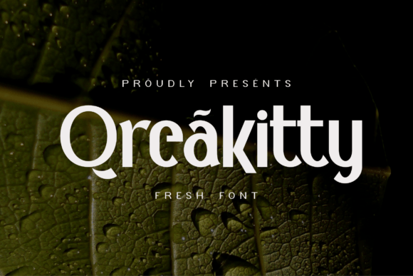 Qreakitty Font: Modern Sans Serif for Web Design