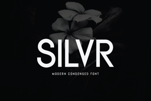 Silvr Font: Elevate Your Brand with Modern Typography